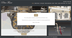 Desktop Screenshot of peterfiner.com